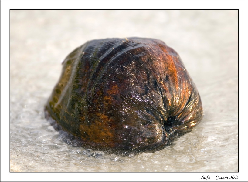 2008 - 07 - Leng Tengah - 028